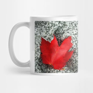 Red Rocks Mug